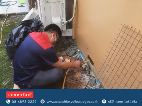 กำจัดปลวกและแมลง หลบซุกซ่อน